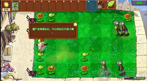 PvZ牛头版2026最新版下载