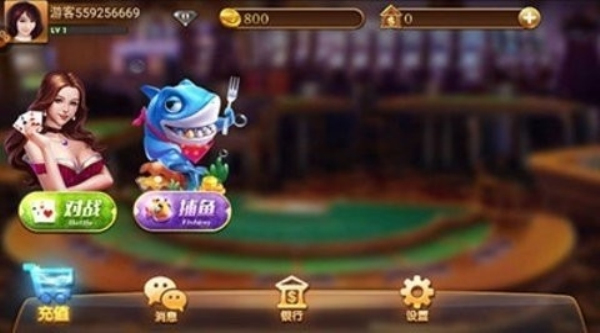 325棋盘定制版