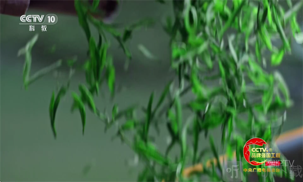 海洋TV最新版本下载安装