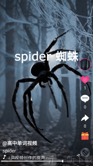 刷单词app手机版下载