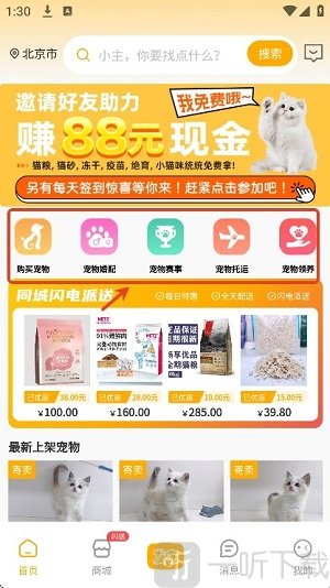 喵鑫球宠物app下载