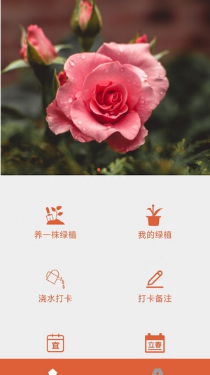 玫莲清露app下载