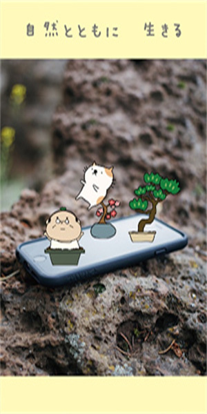 盆栽大师游戏中文版下载
