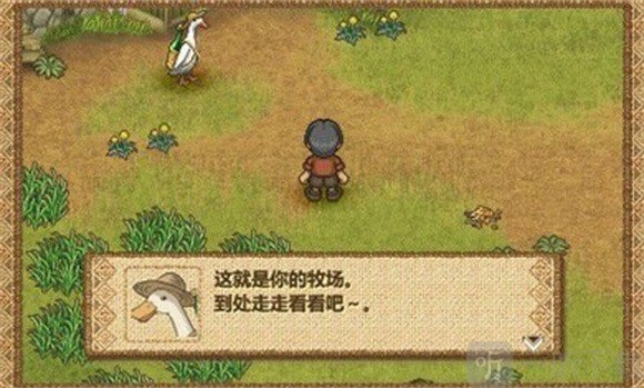 欢迎来到绵羊村安卓版下载安装