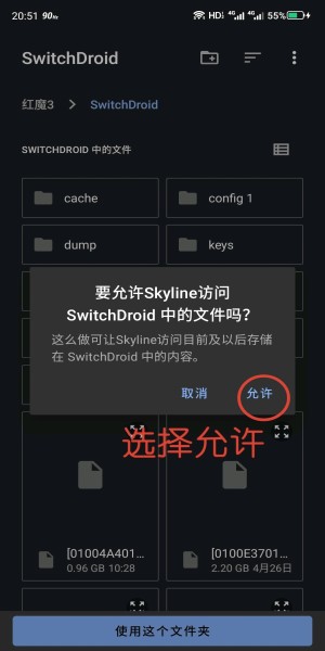 skyline模拟器2024最新版手机下载