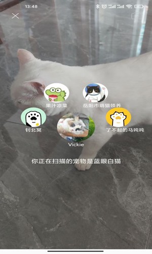 握爪app养宠物最新版下载