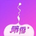 暗香聊天手机版2024最新版app免费下载