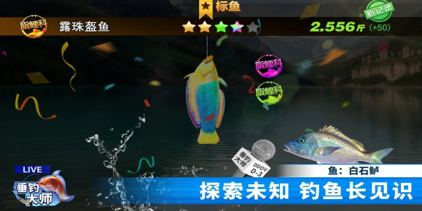垂钓大师下载手机最新版