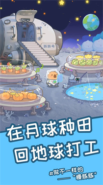 慢豚豚的生活游戏折相思免广告下载