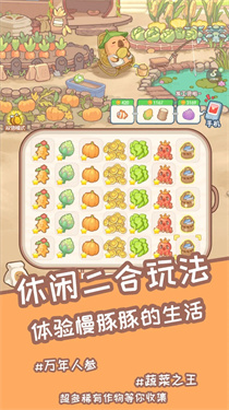 慢豚豚的生活游戏折相思免广告下载