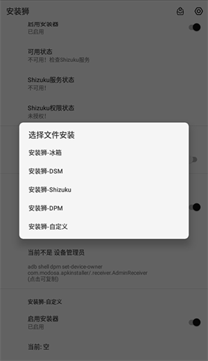 安装狮正式版下载安装