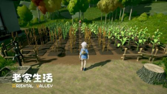 老家生活手游下载中文版