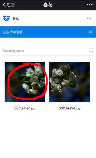 Dropbox免费版安卓版下载