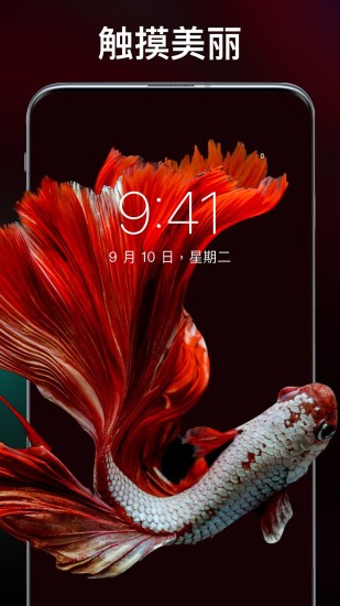 灵猫主题壁纸最新版下载