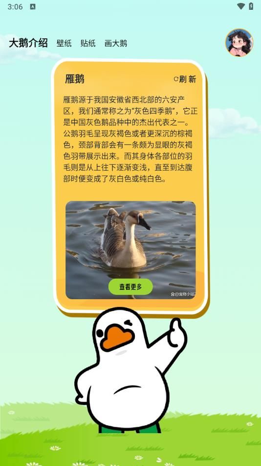 抓了个大鹅手机客户端下载
