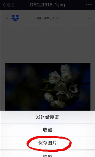 Dropbox免费版安卓版下载