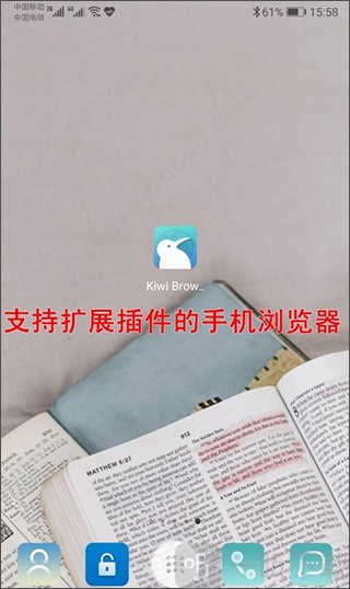 Kiwi Browser浏览器安卓版下载