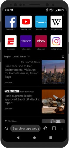 Kiwi Browser浏览器安卓版下载