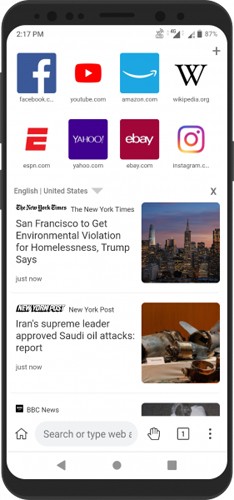 Kiwi Browser浏览器安卓版下载