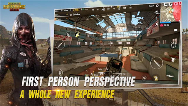 pubg体验服最新版手游下载