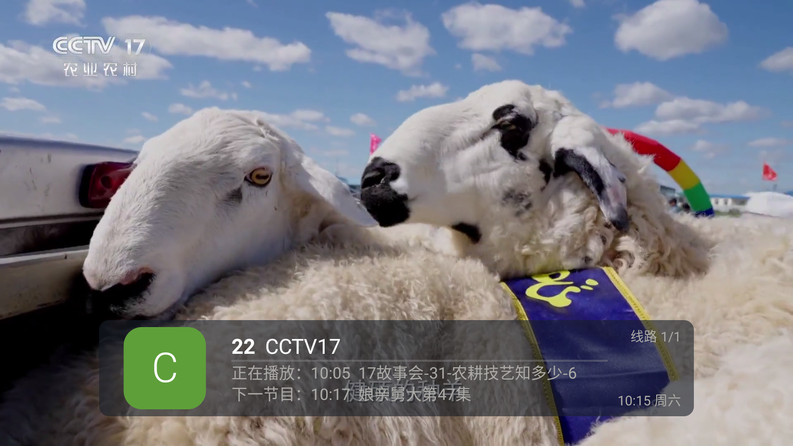 蚂蚁直播tv电视版最新下载