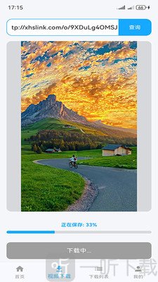 VideoGo下载器app下载安装