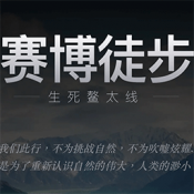 赛博徒步之生死鳌太线模拟器游戏下载