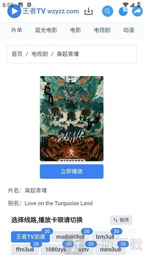 王者TV追剧软件免费版下载