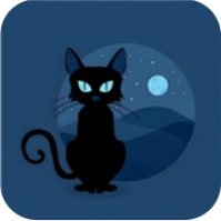 夜猫子超自然行动组辅助软件下载
