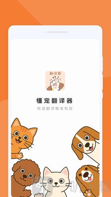 懂宠翻译器软件最新版下载