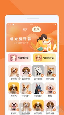 懂宠翻译器软件最新版下载