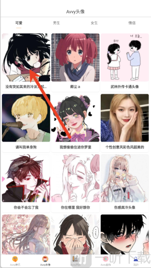avvy直装包下载