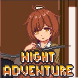 Night Adventure汉化版下载