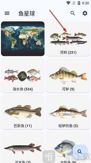 鱼星球app下载