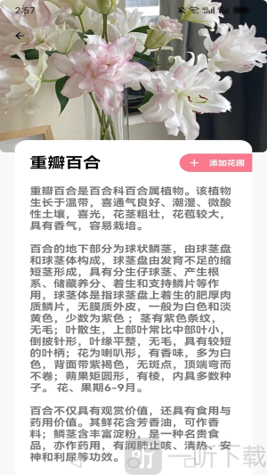 花伴app下载