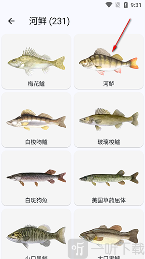 鱼星球app下载