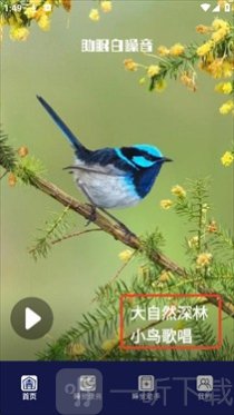 AutoSleeping软件免费版