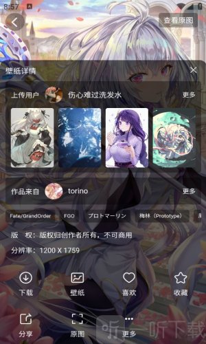花火壁纸app高清版下载
