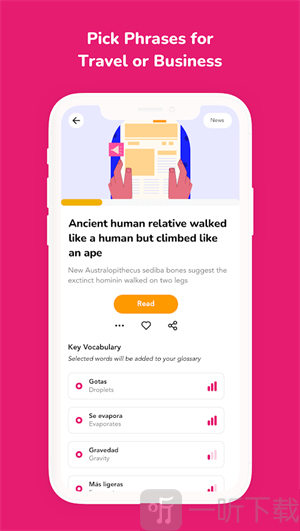 Beelinguapp中文版下载