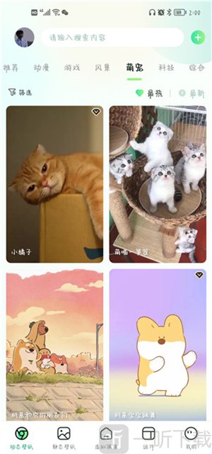 飞火动态壁纸最新版下载安装