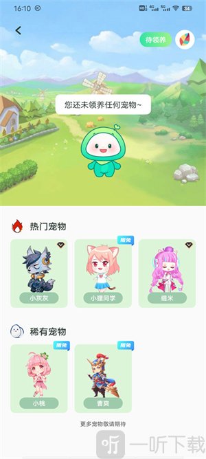 飞火动态壁纸最新版下载安装