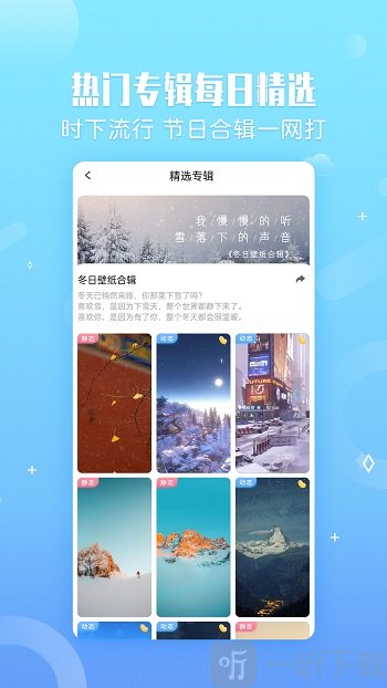 360小鸟壁纸软件安卓版下载安装