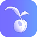 知种app安卓客户端下载