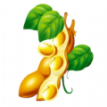 豆角购物app下载