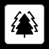big tree磁力搜索app下载