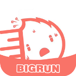 bigrun论坛app最新版下载