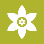 安装狮正式版下载安装