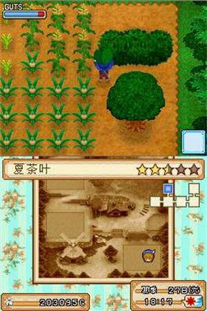 牧场物语风之集市汉化版下载安卓版