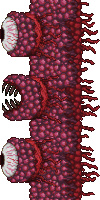 terraria1.4.5国际服手机版下载