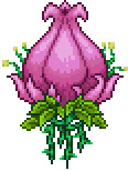 terraria1.4.5国际服手机版下载